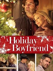 watch A Holiday Boyfriend free online