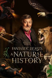 watch Fantastic Beasts: A Natural History free online
