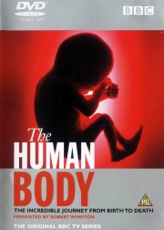 watch The Human Body free online