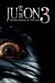 watch Ju-on: The Beginning of the End free online