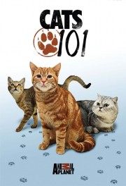 watch Cats 101 free online