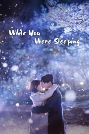 watch While You Were Sleeping free online