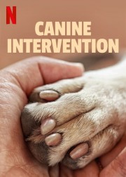 watch Canine Intervention free online