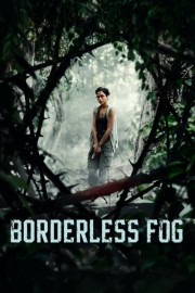 watch Borderless Fog free online