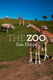 watch The Zoo: San Diego free online