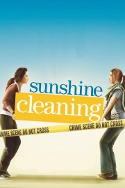 watch Sunshine Cleaning free online