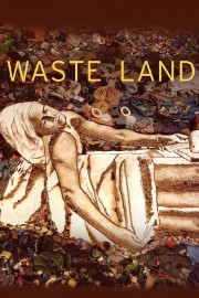 watch Waste Land free online