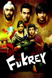 watch Fukrey free online