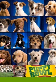 watch Puppy Bowl free online