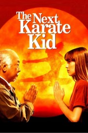 watch The Next Karate Kid free online