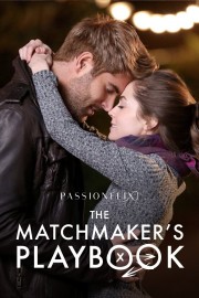 watch The Matchmaker's Playbook free online