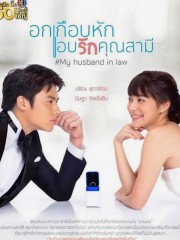 watch My Husband in Law free online