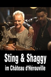 watch Sting & Shaggy au Château d'Hérouville free online