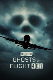 watch Ghosts of Flight 401 free online