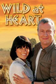 watch Wild at Heart free online