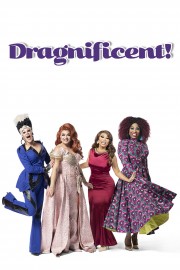 watch Dragnificent! free online