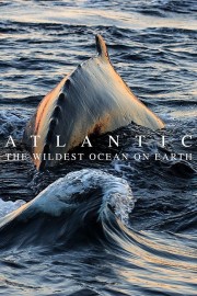 watch Atlantic: The Wildest Ocean on Earth free online