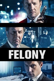 watch Felony free online