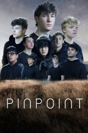 watch Pinpoint free online