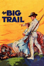 watch The Big Trail free online