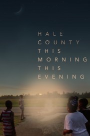 watch Hale County This Morning, This Evening free online