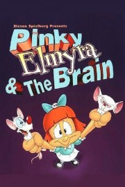 watch Pinky, Elmyra & the Brain free online