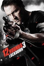 watch 12 Rounds 3: Lockdown free online