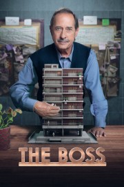 watch The Boss free online