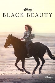 watch Black Beauty free online