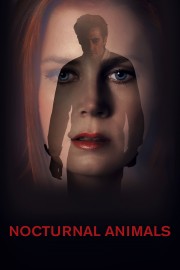 watch Nocturnal Animals free online