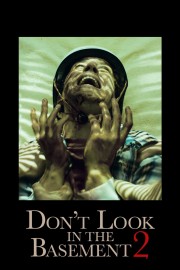 watch Don't Look in the Basement 2 free online