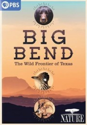 watch Big Bend: The Wild Frontier of Texas free online