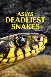 watch Asia's Deadliest Snakes free online