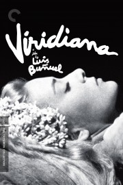 watch Viridiana free online