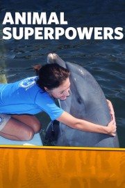 watch Animal Superpowers free online