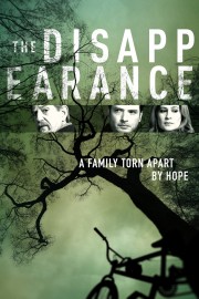 watch The Disappearance free online