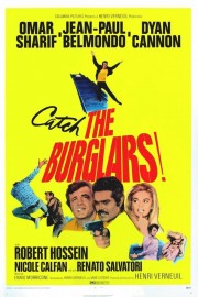 watch The Burglars free online