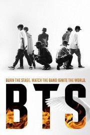 watch BTS: Burn the Stage free online