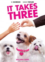 watch It Takes Three free online