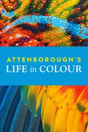 watch Attenborough's Life in Colour free online