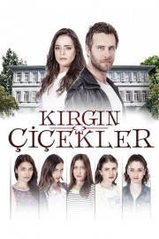 watch Kırgın Çiçekler free online