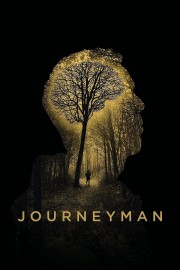 watch Journeyman free online