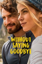 watch Without Saying Goodbye free online