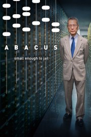 watch Abacus: Small Enough to Jail free online