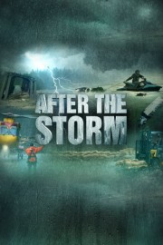 watch After the Storm free online