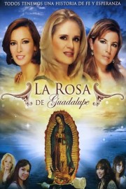 watch La rosa de Guadalupe free online