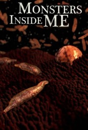 watch Monsters Inside Me free online