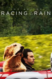 watch The Art of Racing in the Rain free online