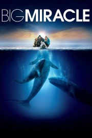 watch Big Miracle free online