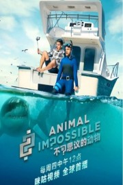 watch Animal Impossible free online